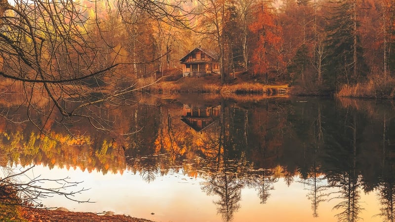 Cabin
