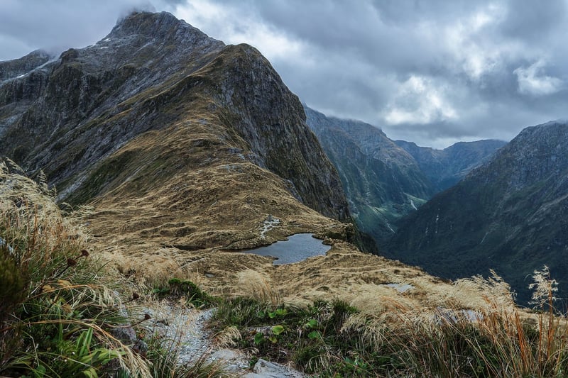 Kayaking in Milford Sound