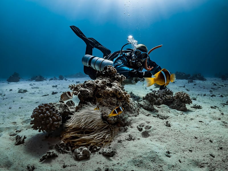 Snorkeling Adventure